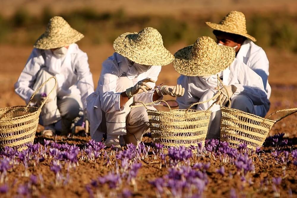 Moroccan Organic Saffron - 5g